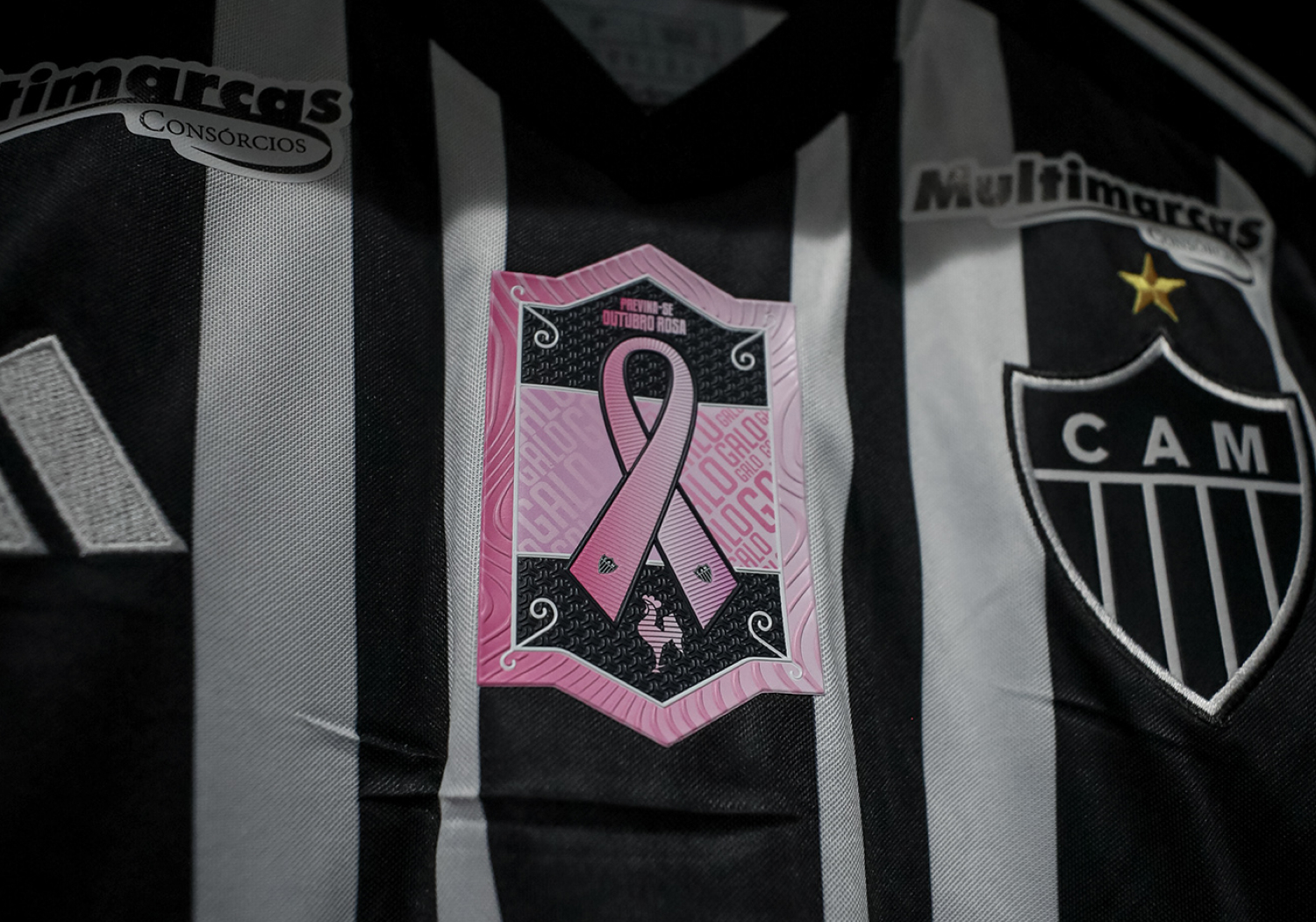 Capa-Outubro Rosa Galo