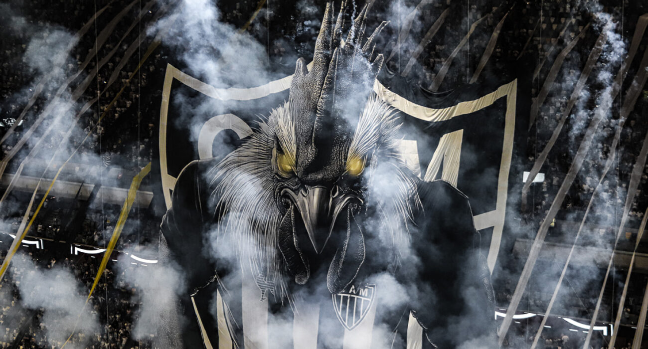 Capa Mosaico Galo