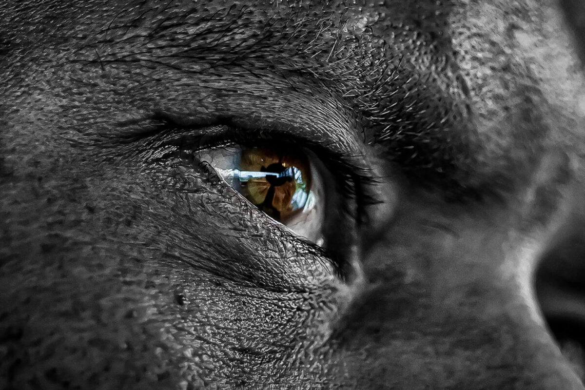 Capa - KV Copa libertadores