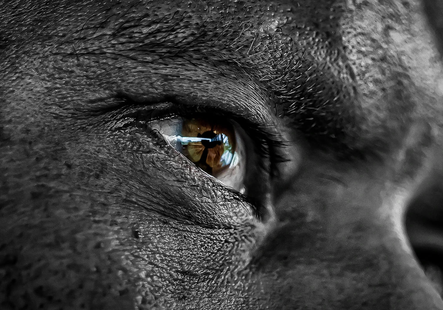 Capa - KV Copa libertadores