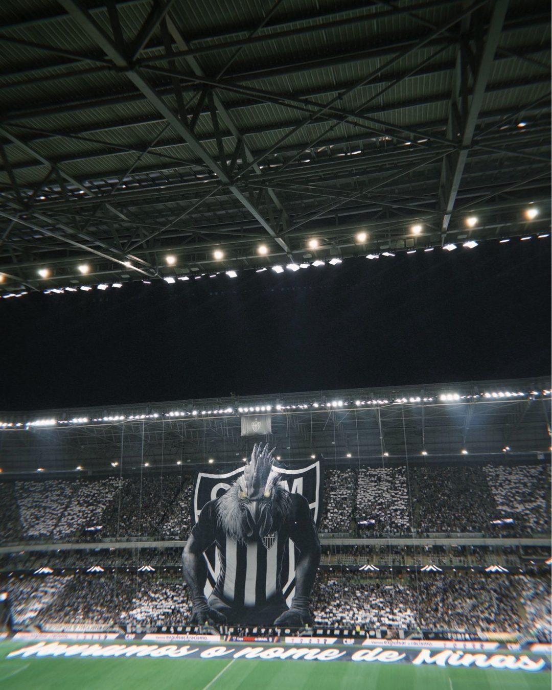 Bandeirão Mosaico Galo 8