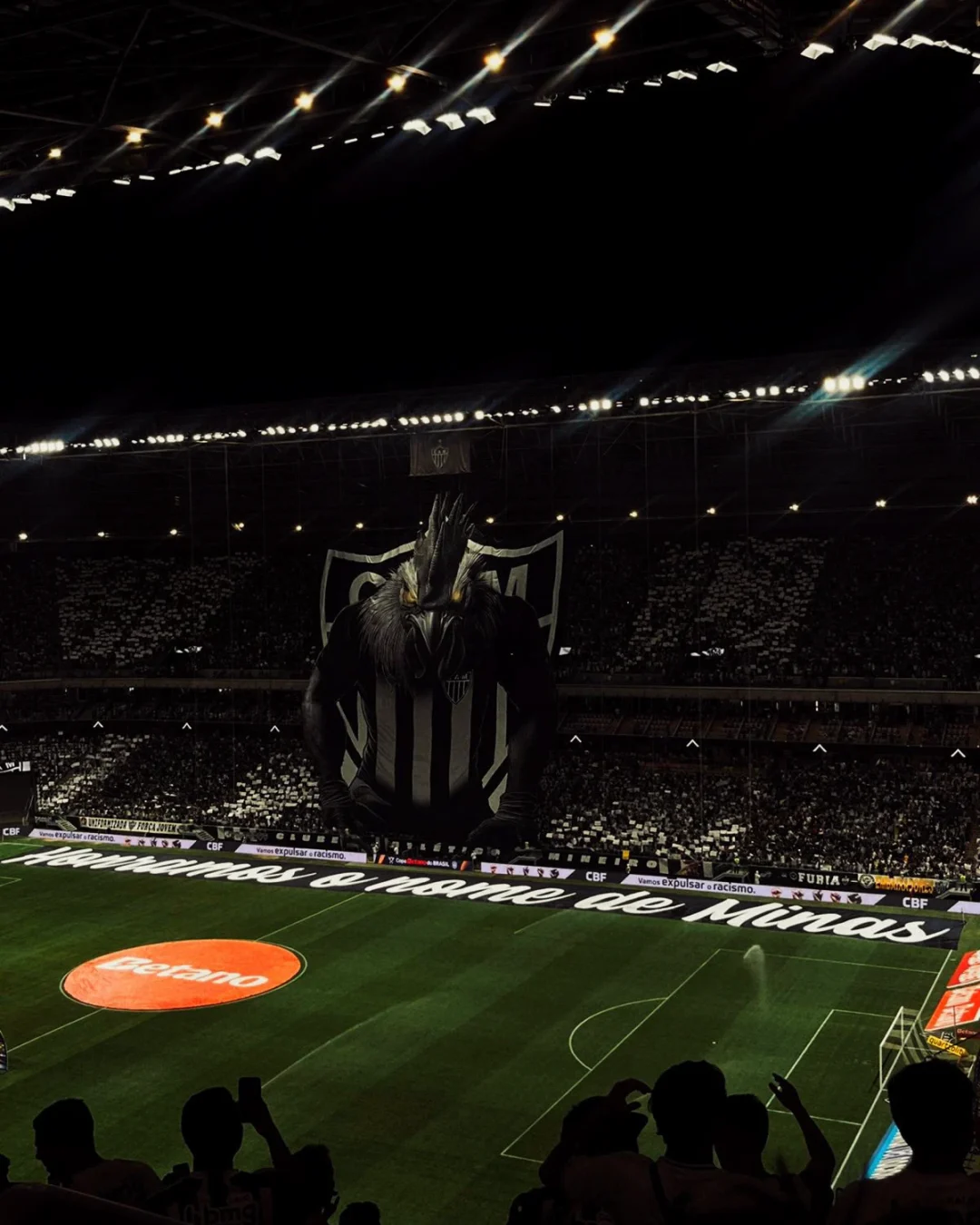 Bandeirão Mosaico Galo 7